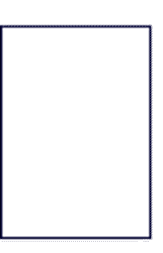 Slika Naljepnice 210  x297 bijele 100/1 MAYSPIES*