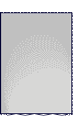 Slika Naljepnice 210  x297 srebrne LK 10/1 MAYSPIES